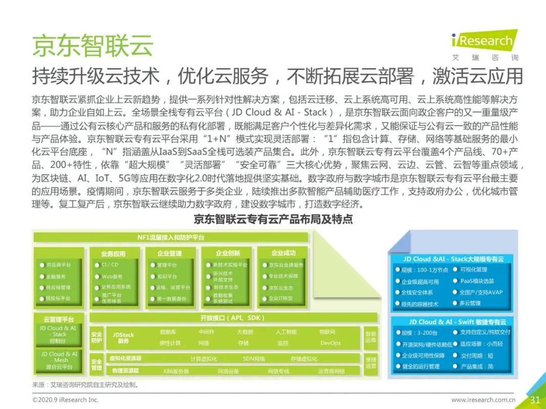 《2020年中国基础云服务行业发展洞察》